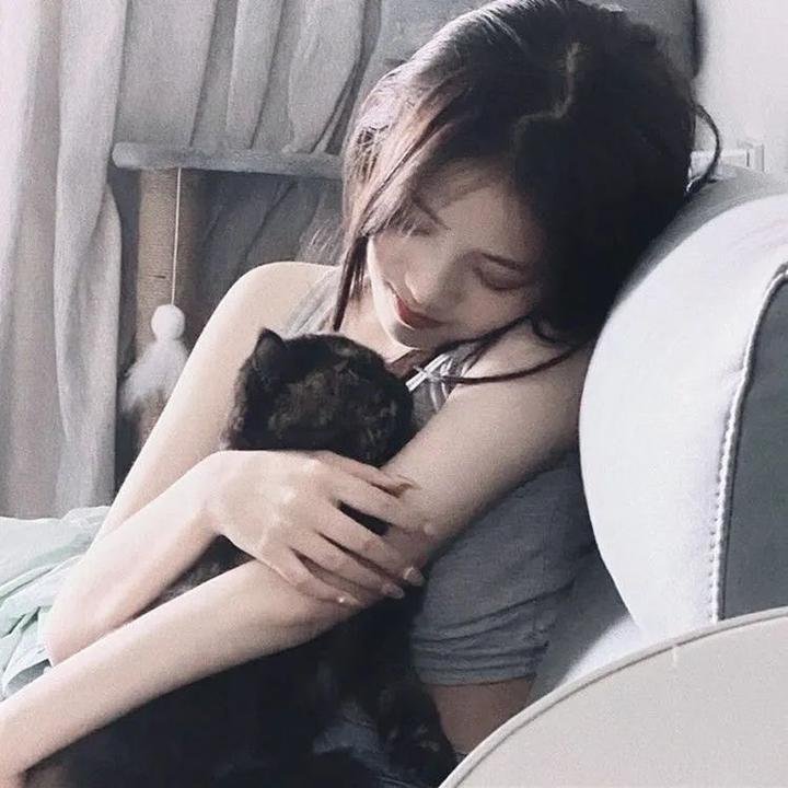 热门明星杨幂
