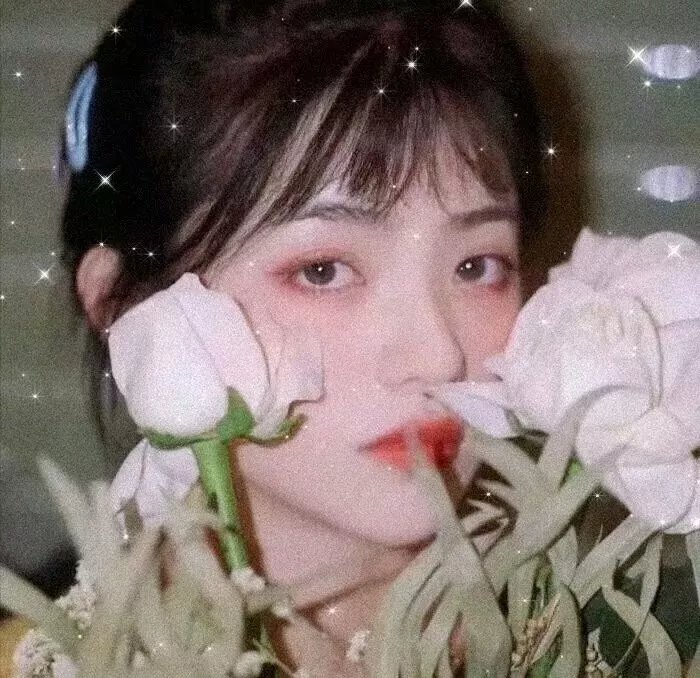 相关影视